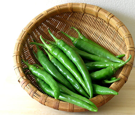 chilli